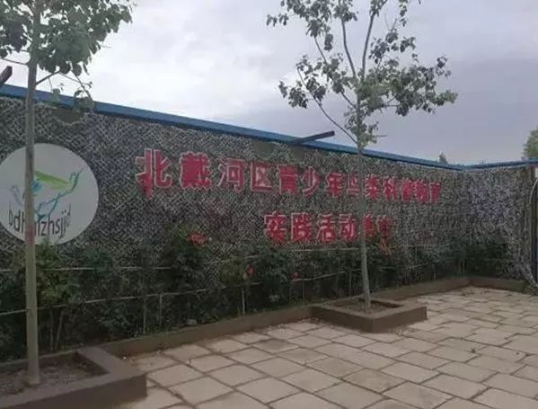 海洋夏令营,2017北戴河夏令营