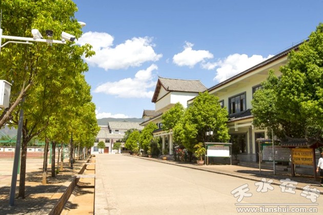 天水青少年夏令营报名,天水健彬乒乓球