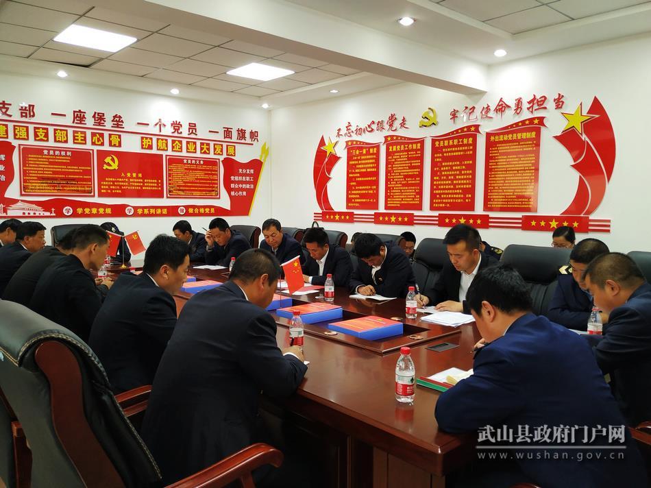 武山县大力提升非公*党**建工作整体水平