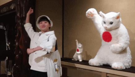 12星座东京能玩什么,12星座浪漫之地怎么玩