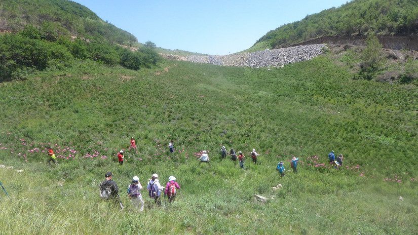 美丽芍药谷,云雾缭绕人间仙境芍药谷