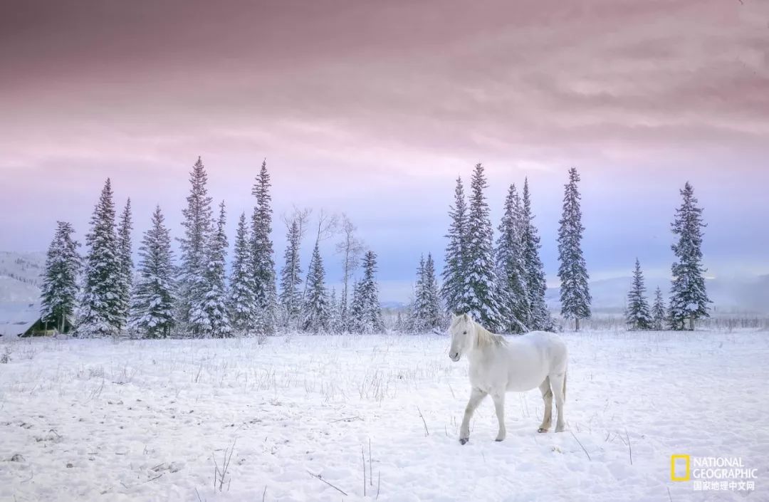 热爱摄影热爱跑步热爱生活,如果你热爱拍照
