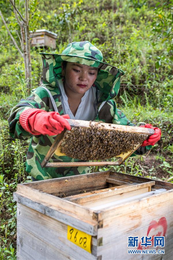 脱贫攻坚的历史答卷,脱贫攻坚书写历史