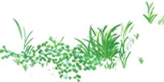 横店影视城值得去不,横店影视城哪些不值得去