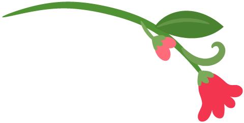 学生毕业档案怎么补办,毕业生档案如何补办