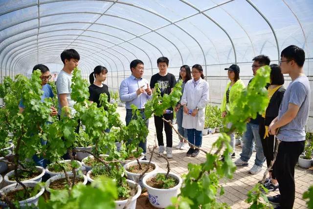 填志愿最新10种专业,高考填志愿所谓的好专业是什么