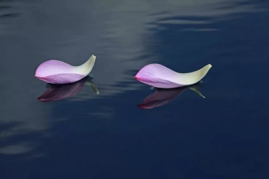 闯了祸怎么安慰自己,闯了祸不知道怎么处理