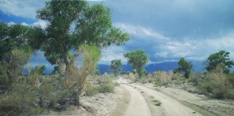 【*疆新**是个好地方·达人西游第6季】精河的美，你想象不到！