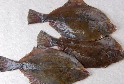 日照有什么好玩的地方,日照金山