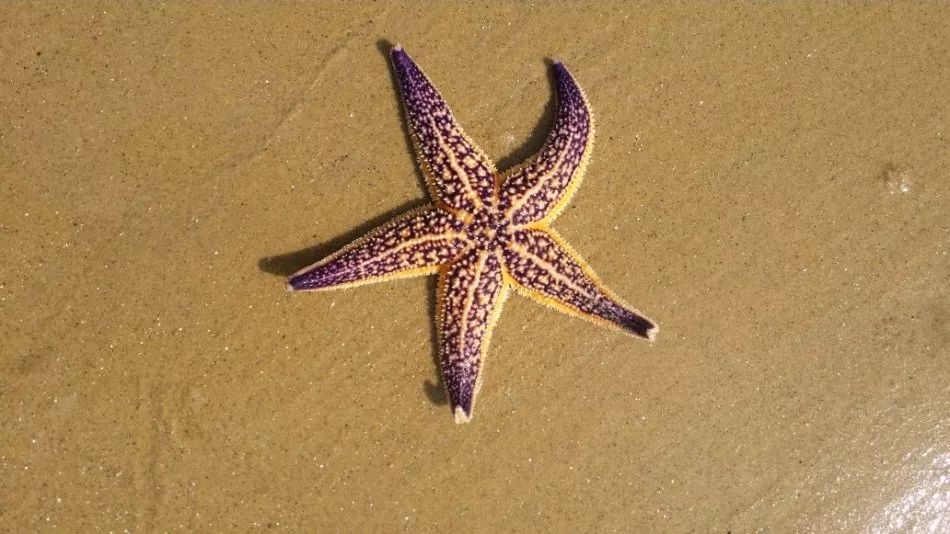 日照有什么好玩的地方,日照金山