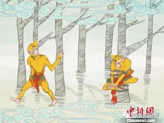 辨别真假悟空视频,悟空真假辨别方法