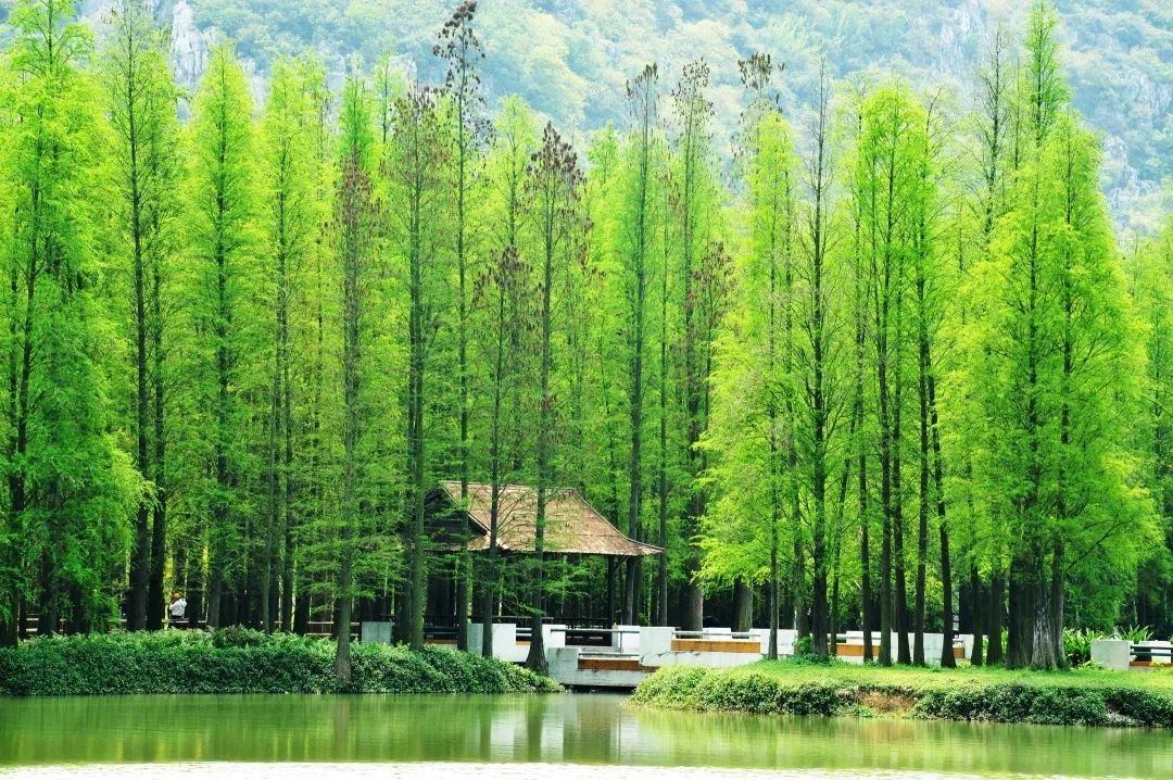 开学动感大片,开学震撼大片