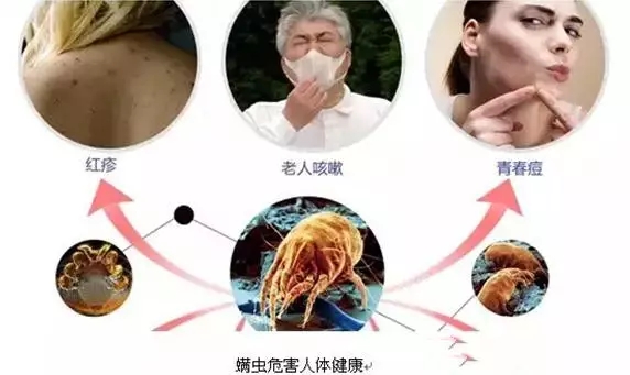 健康睡眠透气凉席,健康凉席好不好
