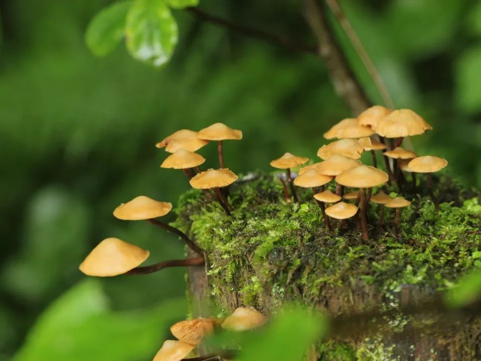 2.5浜垮勾鍚庣殑鍦扮悆鍙樺寲,涓滃寳鐏北鎬庝箞鍙樻垚绮粨