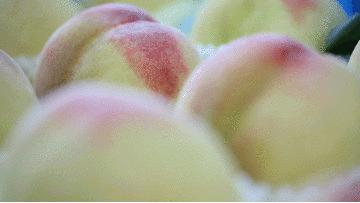 夏日的蜜桃诱惑，悄悄熟了