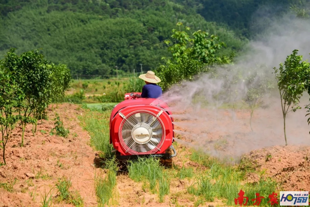 四会黄田柑橘种植生态园,四会市黄田镇最新规划