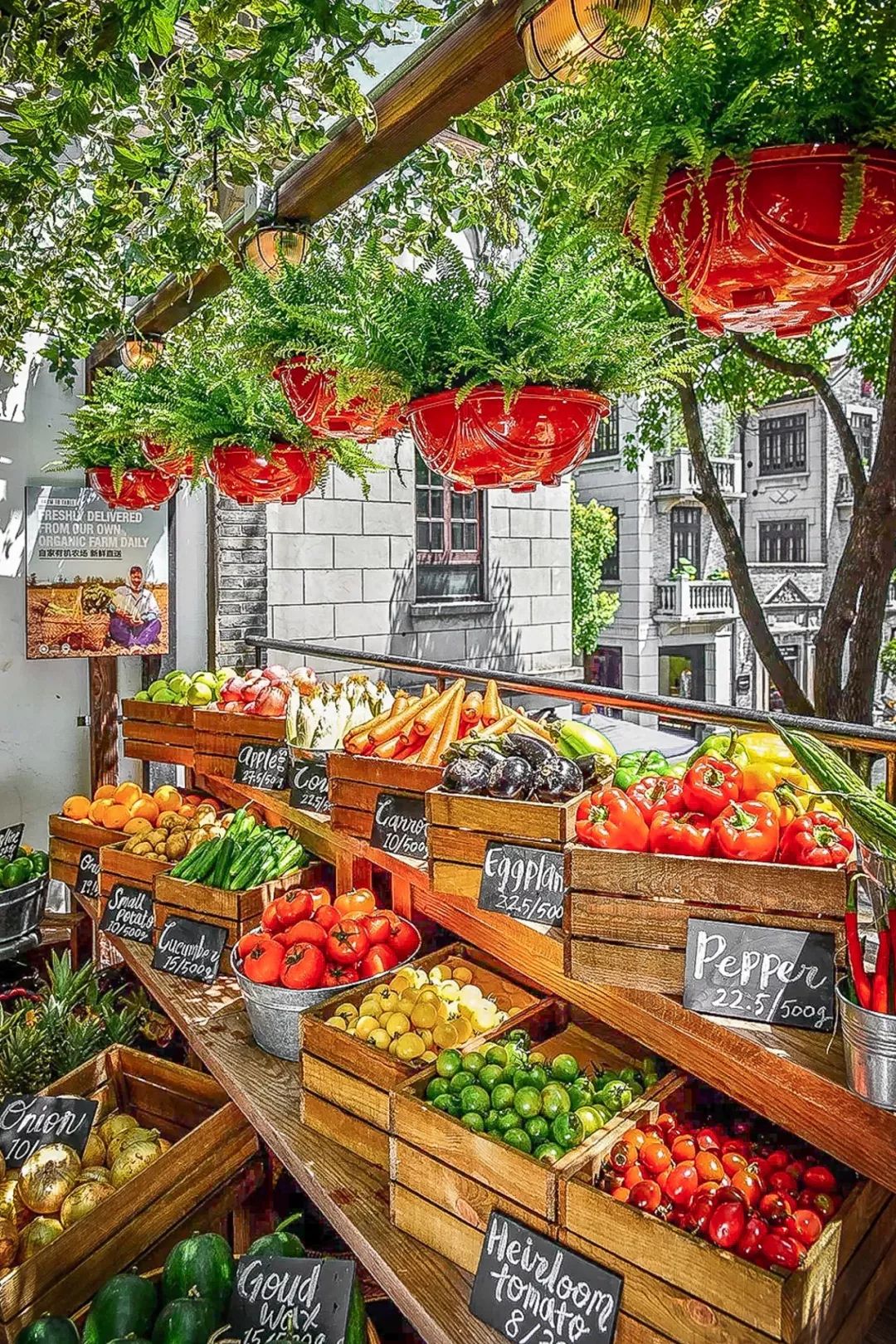 上海高端精品超市排名,哪些大型超市退出中国市场