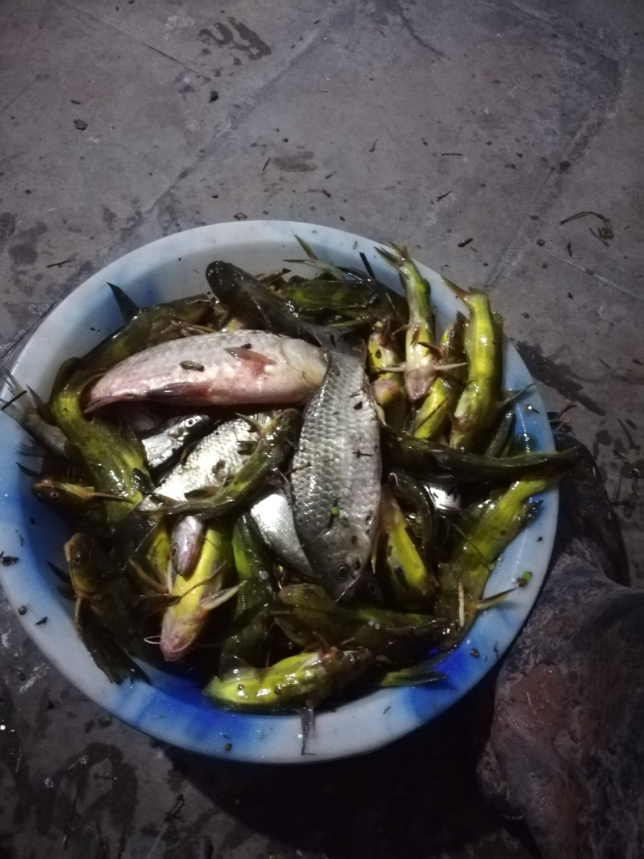 雨中奋战足球,雨中奋战