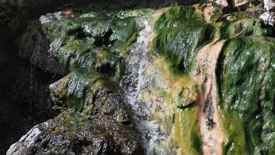 当一个东西黏糊糊的，这到底为了什么？