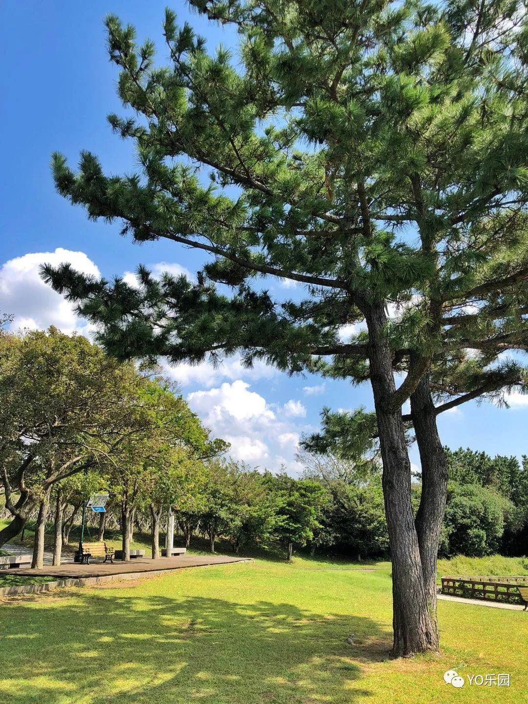 住帐篷一起看星星,住蒙古包看星星的地方