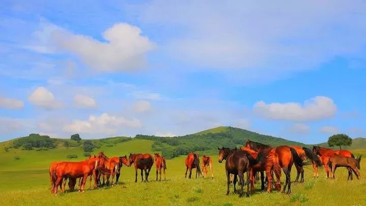 邳州广电直播间,邳州广电直播