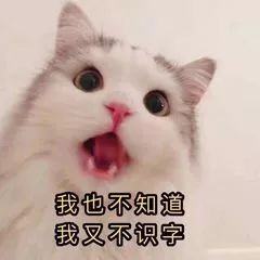 黑街集市，砍价开启！٩,๑◡๑۶砍价王就是你