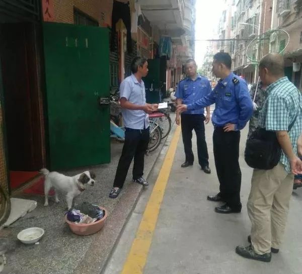 深圳严查养狗合法吗,深圳市龙岗区养犬规定