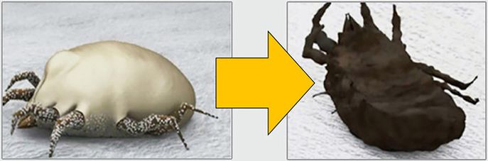 团|墙上插上它，24小时物理除螨，让千万螨虫集体自杀，比太阳暴晒强10000倍