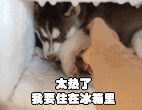 山西暴雨和河南暴雨关注度,山西暴雨天气通知最新消息