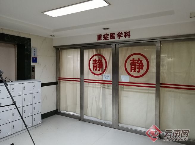 云南吃菌中毒分布图,云南吃菌中毒最新统计