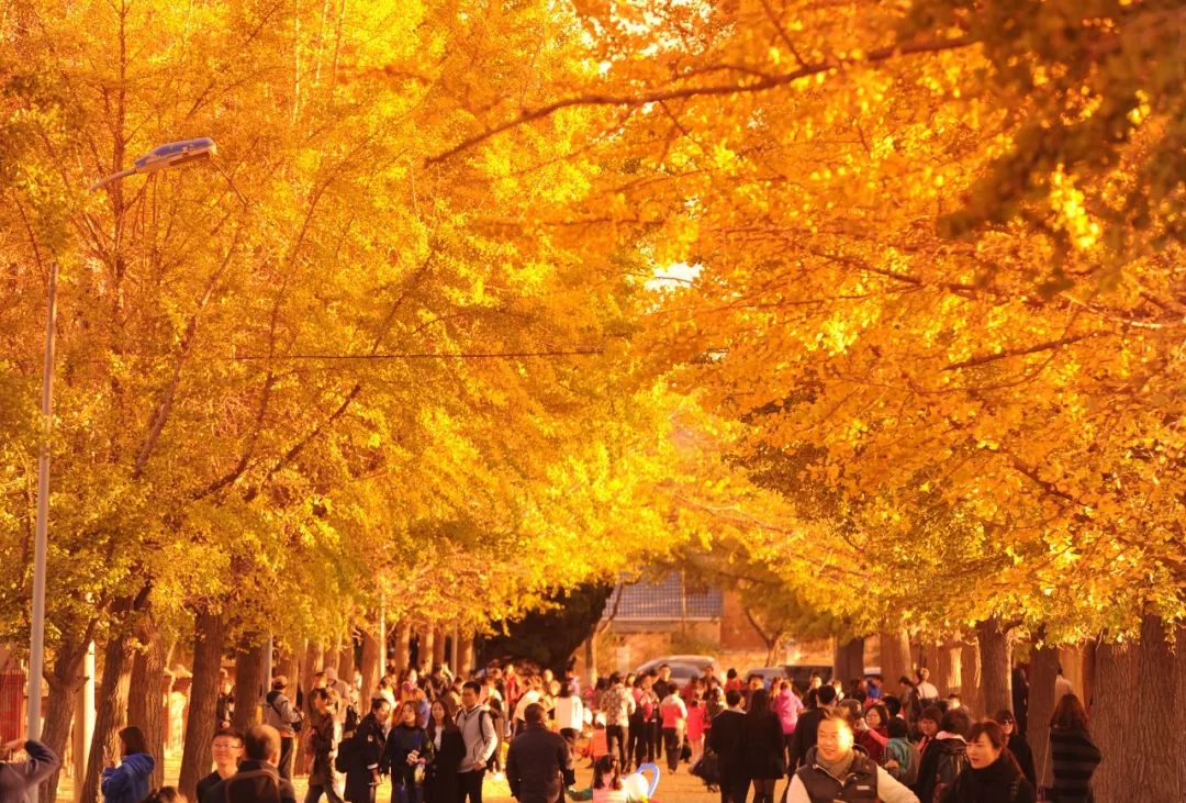 厦门青岛之旅,出行去厦门