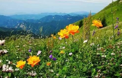 透心凉！有了这些均温不足20℃的空调山，再热情的“烤验”也挡得住