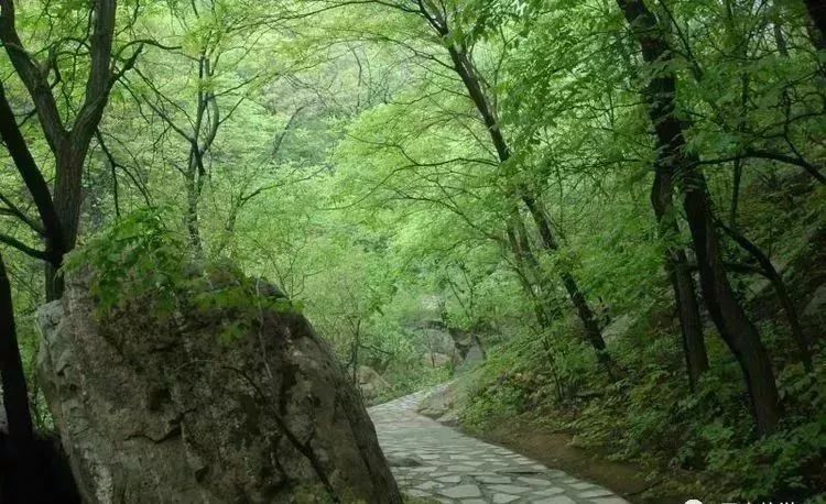 冀情山水(33)|有了这些均温不足20℃的空调山,再热情的“烤验”也挡得住!