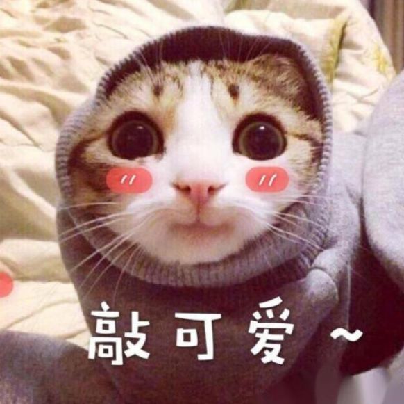 mac口红最值得入手的一款,mac口红最好看的限定款