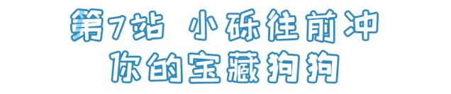 汪汪队冬日奇幻秀,汪汪队奇幻冰雪节