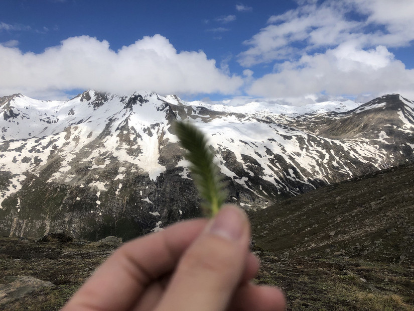 我的最后一站——念青东6天波密穿洛隆