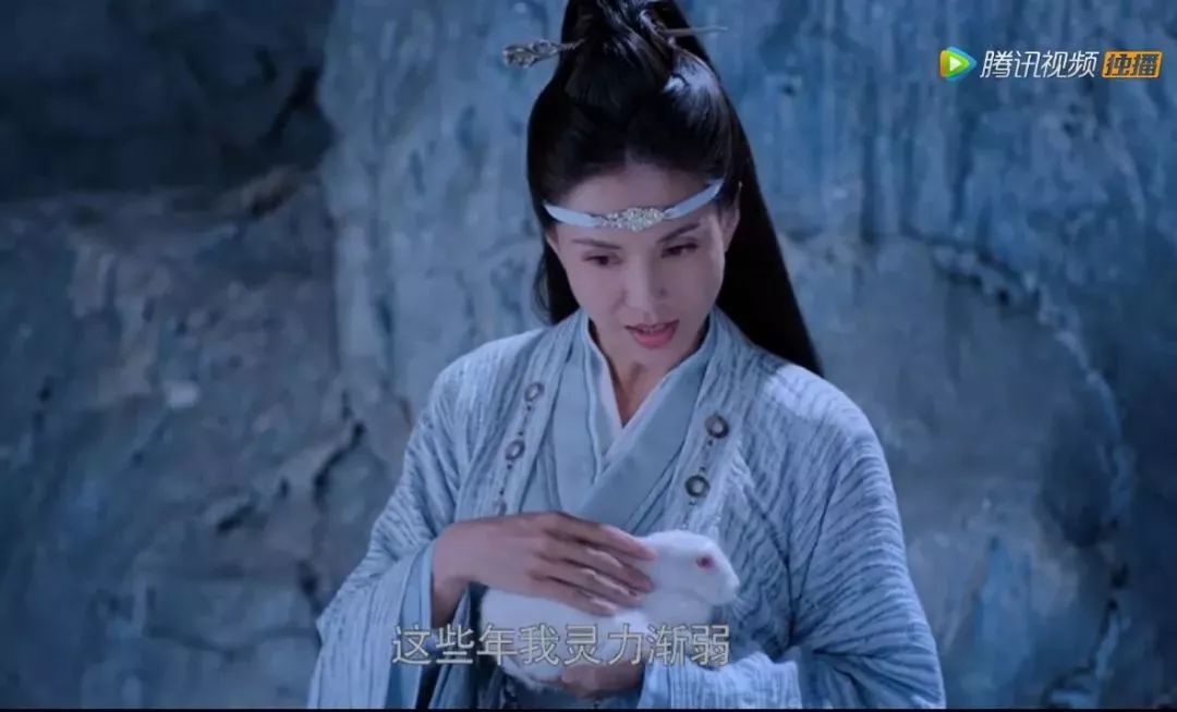 为什么都说陈情令好看,陈情令到底哪里好看