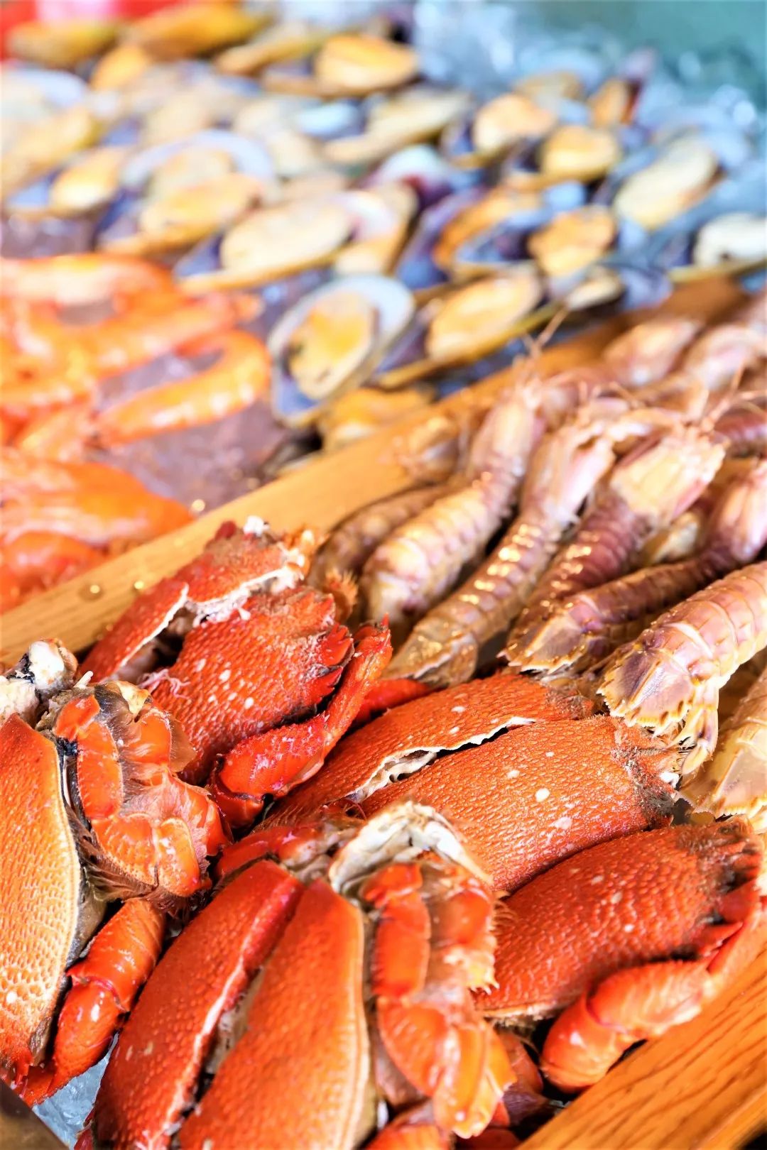 魔都最新网红地,魔都新晋打卡