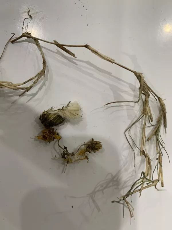 网友花千余元抓来十余袋药物，不料药包内竟掺杂大量异物，院方回复......