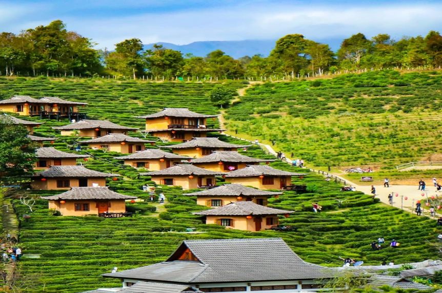 王宝强泰国视频,王宝强泰国片段