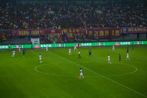 亚亚图雷青岛集锦,青岛黄海队员亚亚图雷简介