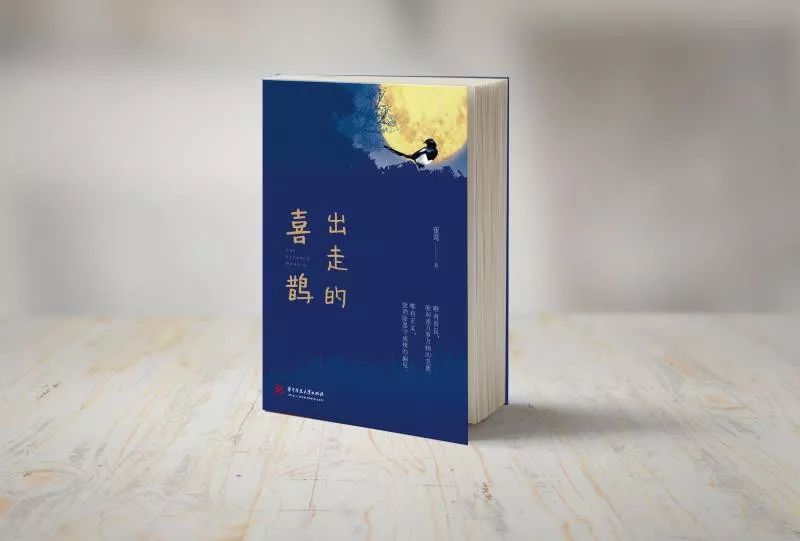 作者的编辑是干什么的,编辑都在干什么