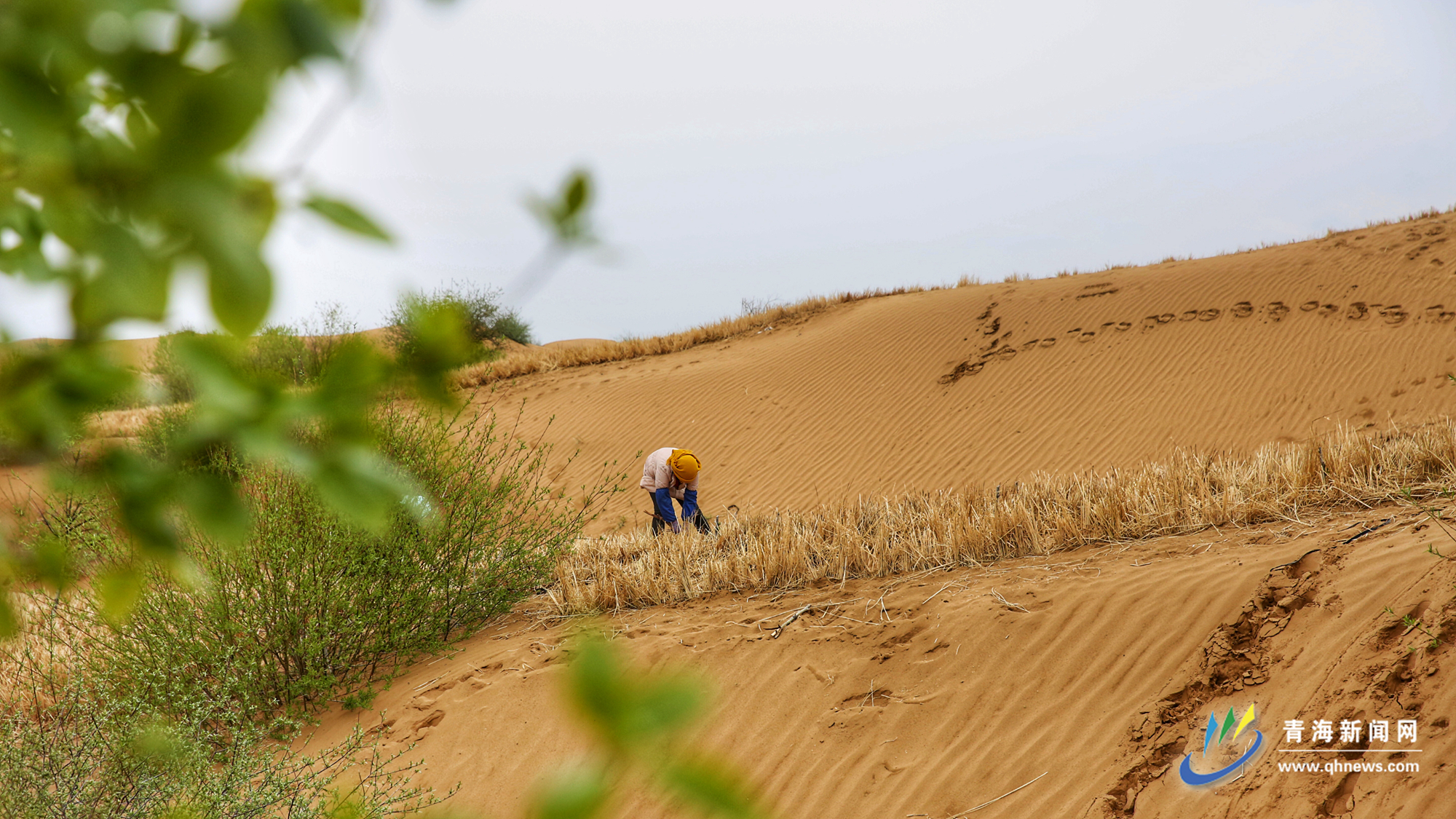 贵南治沙精神,贵南治沙