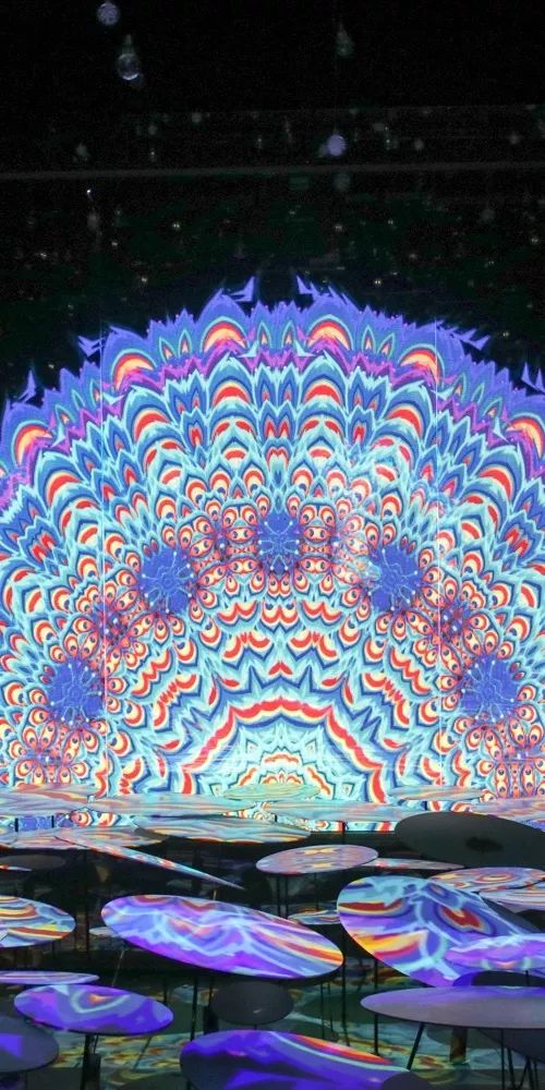 普吉岛旅游自由行推荐哪个酒店,普吉岛值得打卡酒店