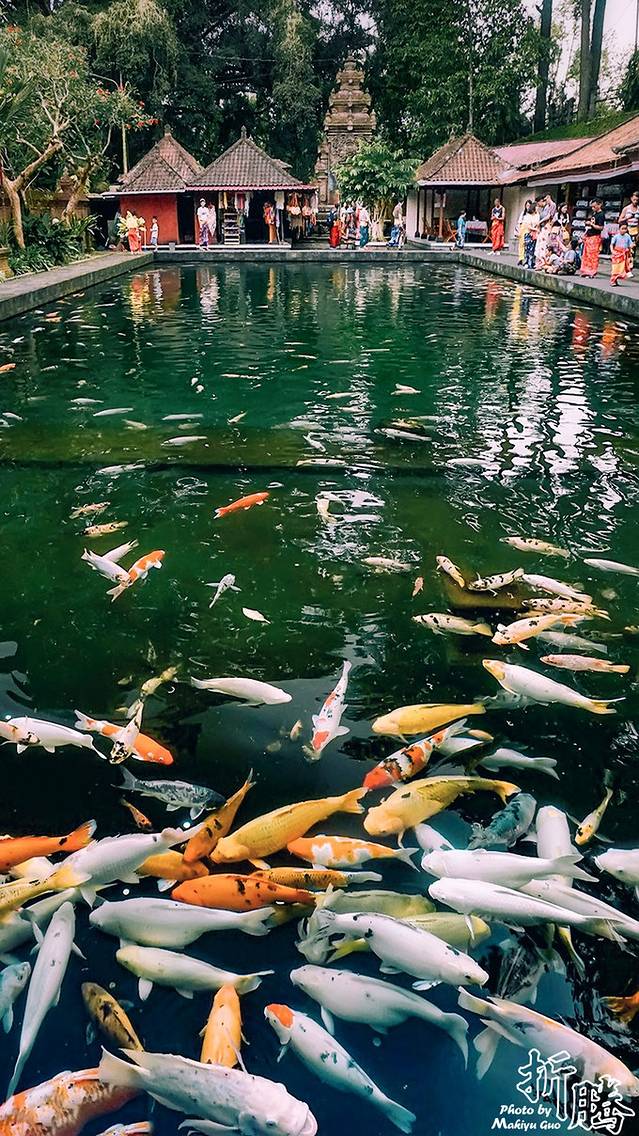 南纬八度.又见BALI