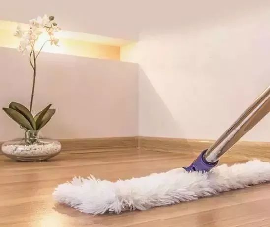 一勺洗衣粉,一勺洗衣粉让蟑螂断子绝孙