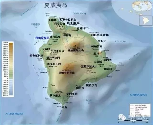 牙买加蓝山与夏威夷科纳间的铁皮卡差在哪？