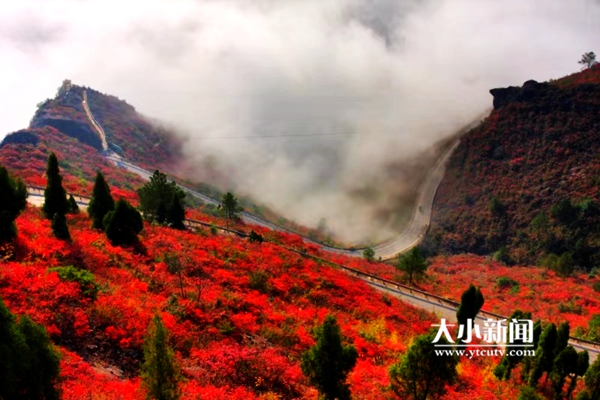 巫山海岸美食,巫山美食盛宴在哪里