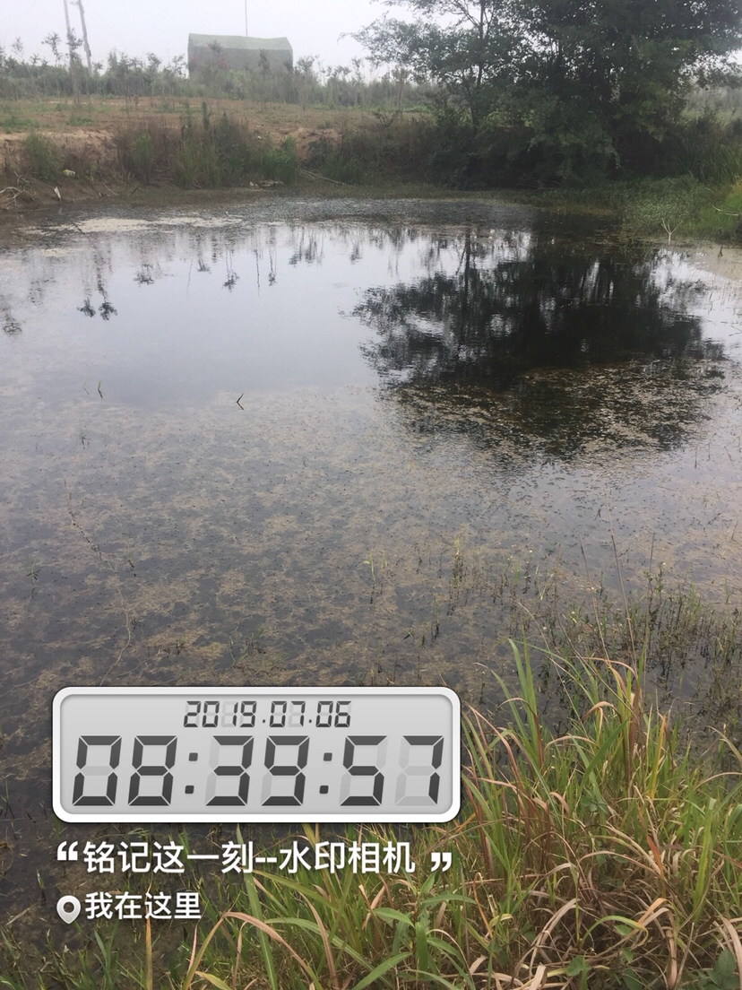 雷强2020年视频,2019雷强视频