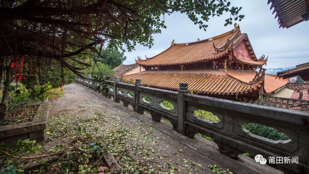 枫亭千年古镇,枫亭古镇